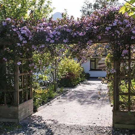 Albergue Cloverfox Connemara *