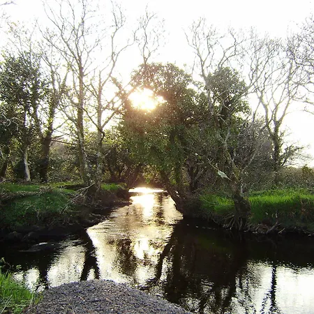 Cloverfox Connemara