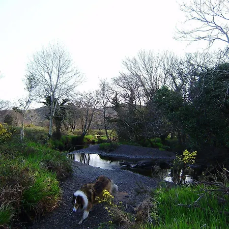 Cloverfox Connemara Letterfrack