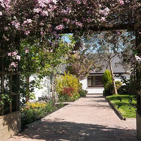 Cloverfox Connemara Hostel