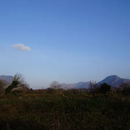 Cloverfox Connemara Hostel