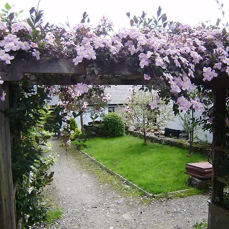 Hostel Cloverfox Connemara *