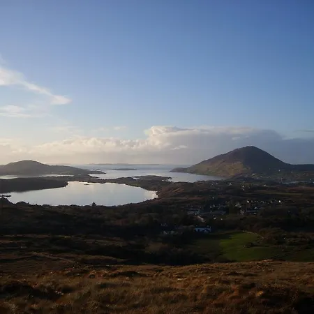 Cloverfox Connemara *