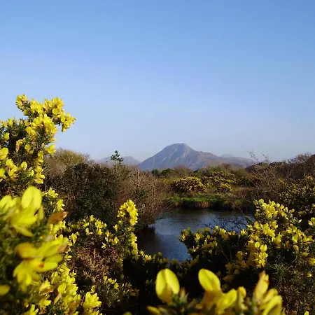 Cloverfox Connemara 호스텔 *