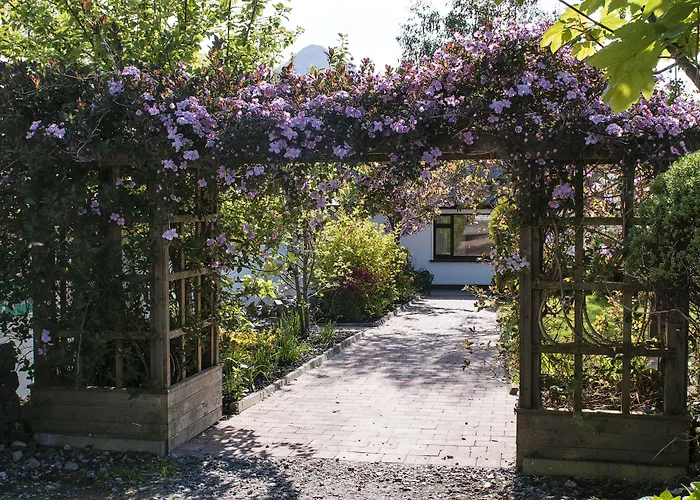 Hostel Cloverfox Connemara *