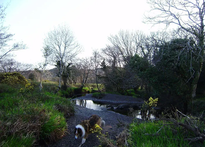 Cloverfox Connemara Letterfrack