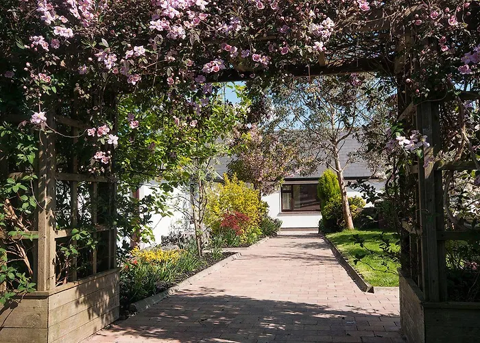 Cloverfox Connemara Hostel