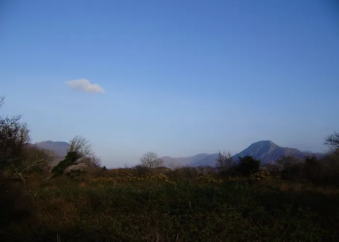 Cloverfox Connemara Hostel