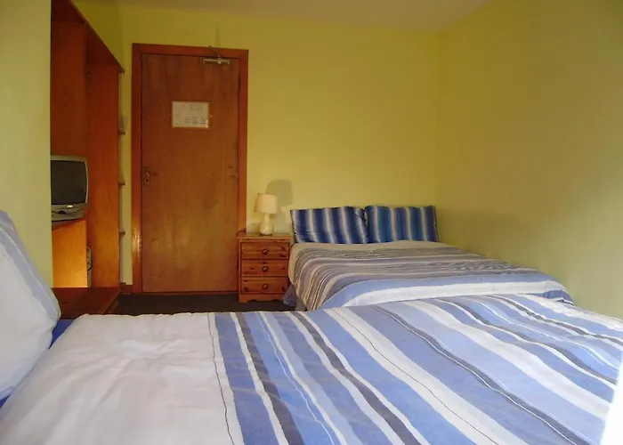 Cloverfox Connemara *