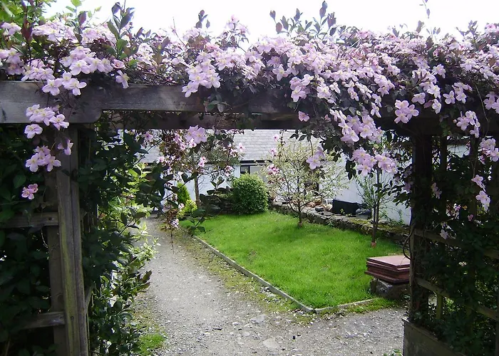 Hostel Cloverfox Connemara *