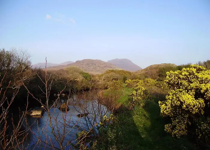 Cloverfox Connemara * Letterfrack